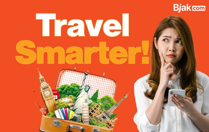 Insurance travel france